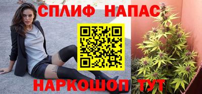 jwh Будённовск