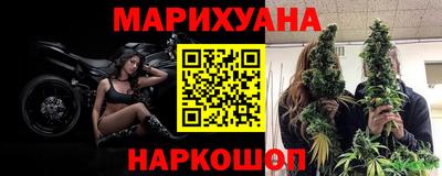 jwh Будённовск
