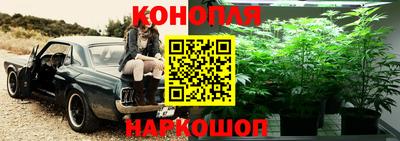 jwh Будённовск
